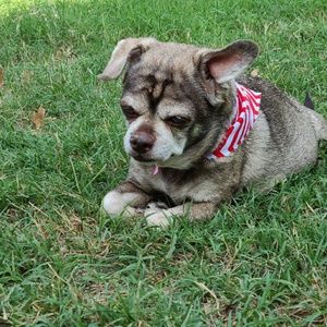 Meet your Posher, Gail